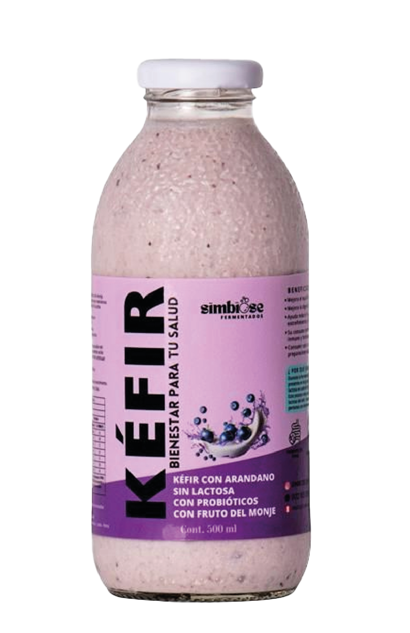 Kéfir de arandano X500ML