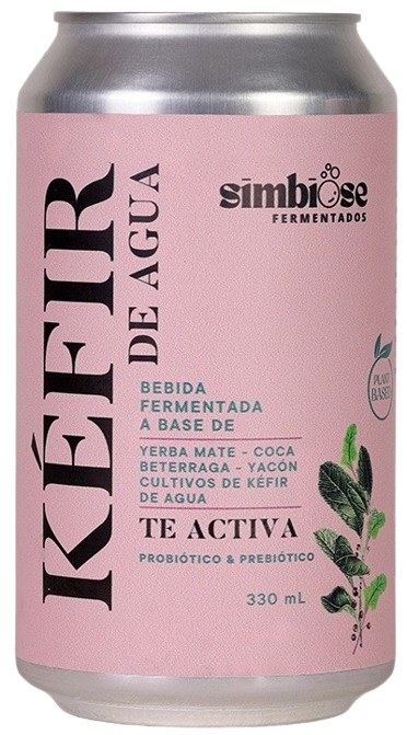 Kéfir de agua - Te Activa X330ML