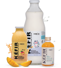 Kéfir