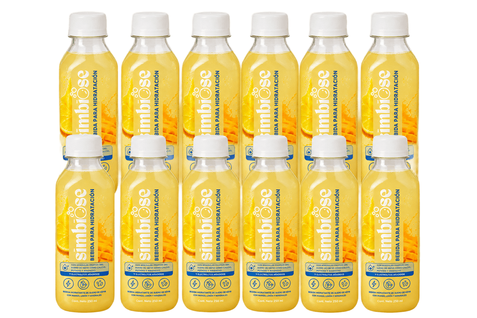 Pack 12 Suero de Kéfir 250ML